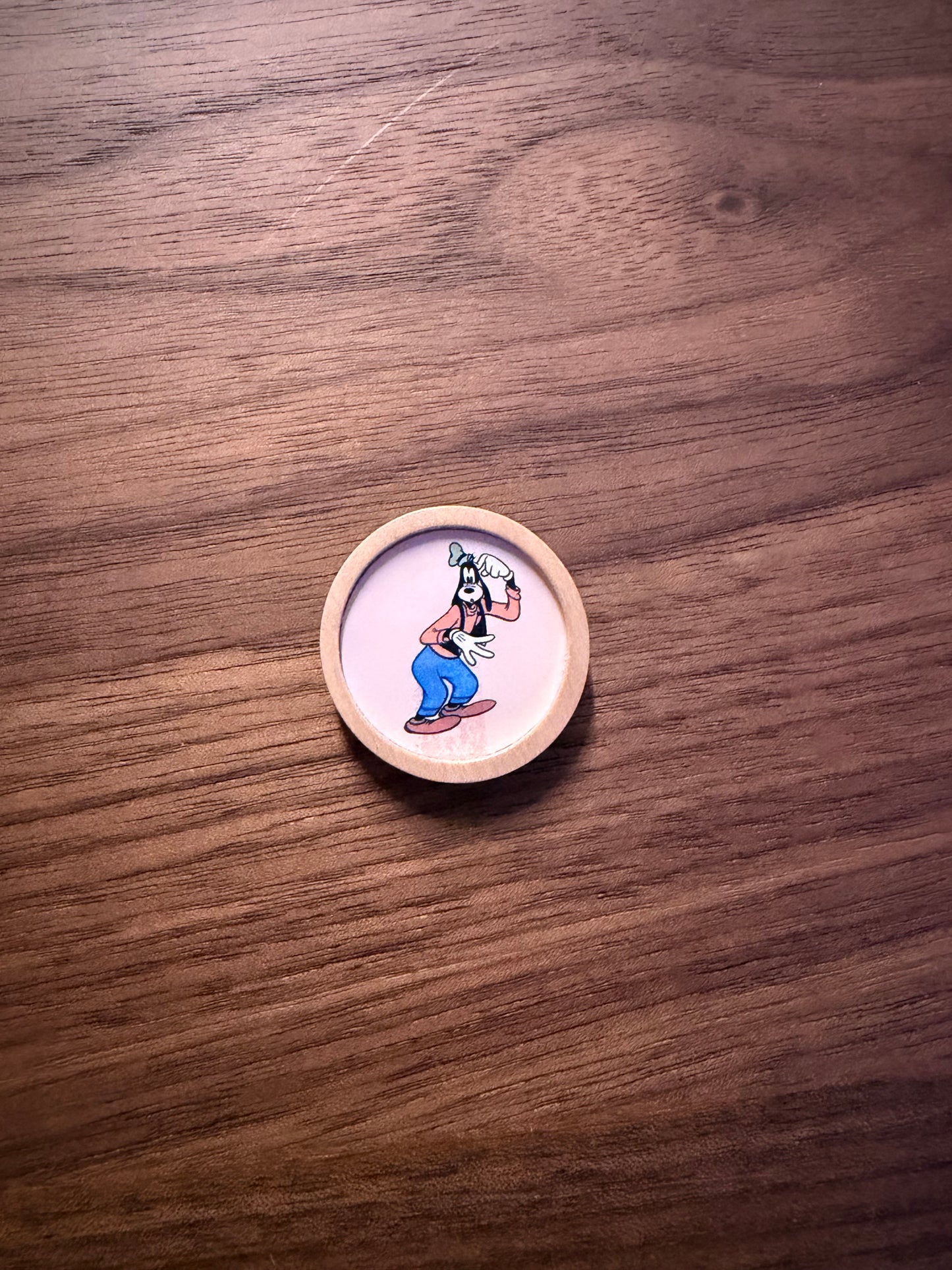 Magnet-Set Disney